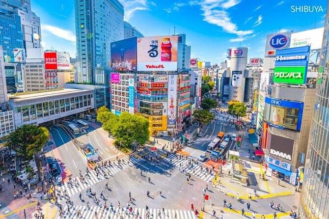 Anywhere you like! Tokyo Customized Tour in 3 hours - The Flexibility of Building Your Own Itinerary