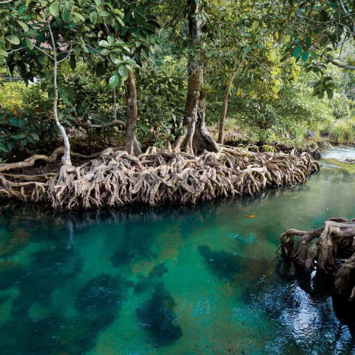 Ao Luek Hidden Safari - Important Reminders