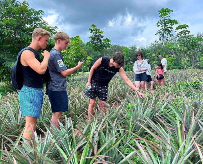 Ao Nang: Crystal Pool Kayaking, ATV, and Pineapple Farm Tour - Suggestions for Improvement