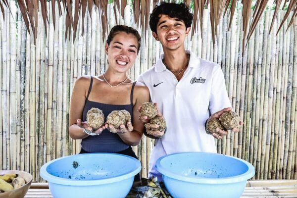 Ao Nang: Elephant Feeding Program - Directions
