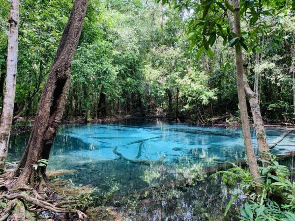 Ao Nang: Hot Spring, Emerald Pool & Tiger Cave Temple Tour - Tips and Recommendations for the Tour