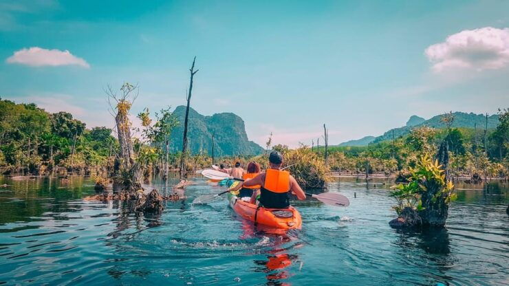 Ao Nang Kayak Adventure: Explore the Stunning Flooded Forest - Experience the Flooded Forest
