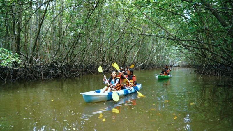 Ao Nang: Kayak Tour in Krabi Mangrove Forest with Lunch - Exploring the Mangrove Forest