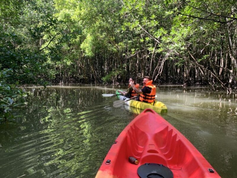 Ao Nang: Kayak Tour in Krabi Mangrove Forest with Lunch - Detailed Breakdown of the Experience