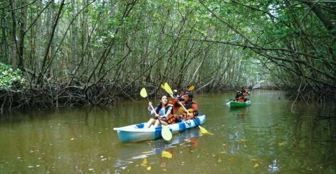 Ao Nang: Kayak Tour in Krabi Mangrove Forest With Lunch - Common Questions