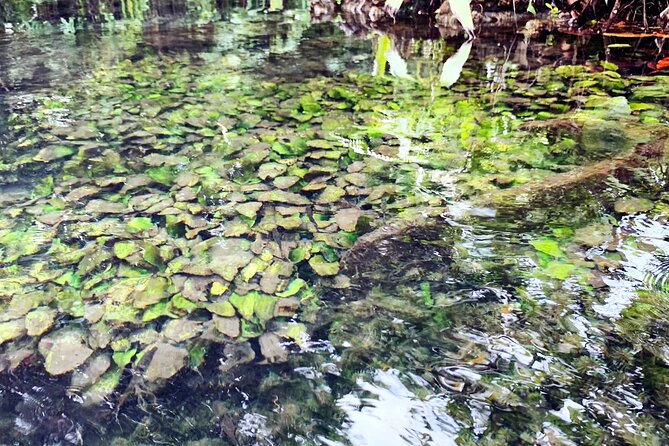 Ao Nang Kayaking at Klong Rud - The Sum Up