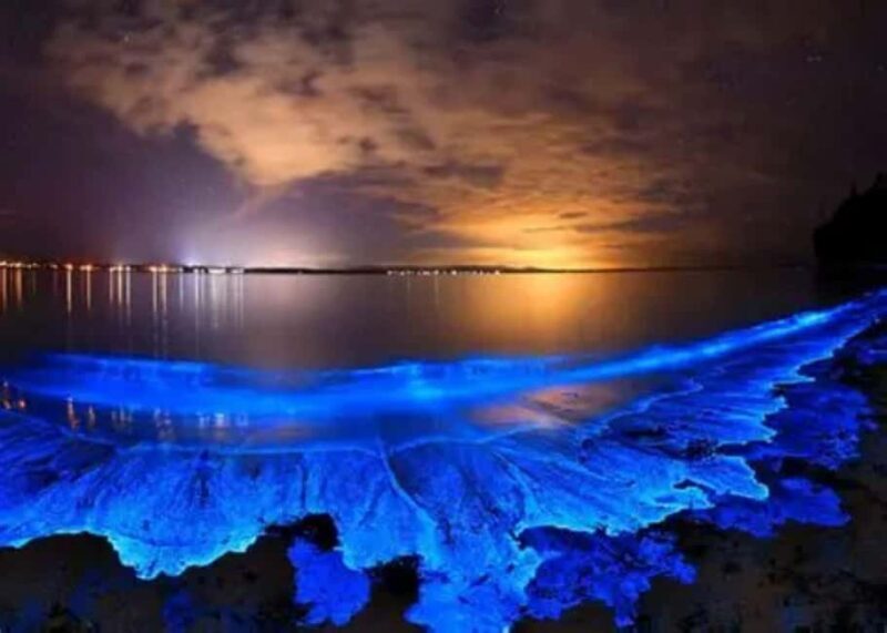 Ao Nang Night Tour Swim with bioluminescent plankton - Practical Tips for Tour Participants