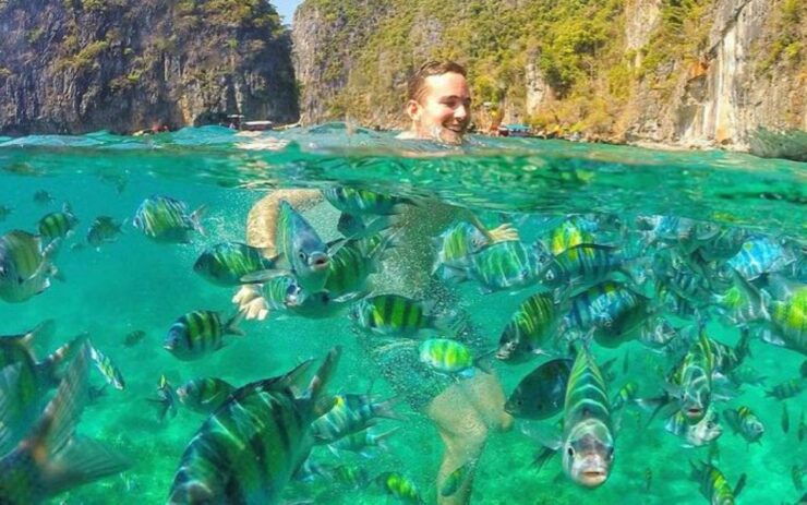 Ao Nang:Phi Phi Island 1 Day With a Private Longtail Boat - Activity Overview