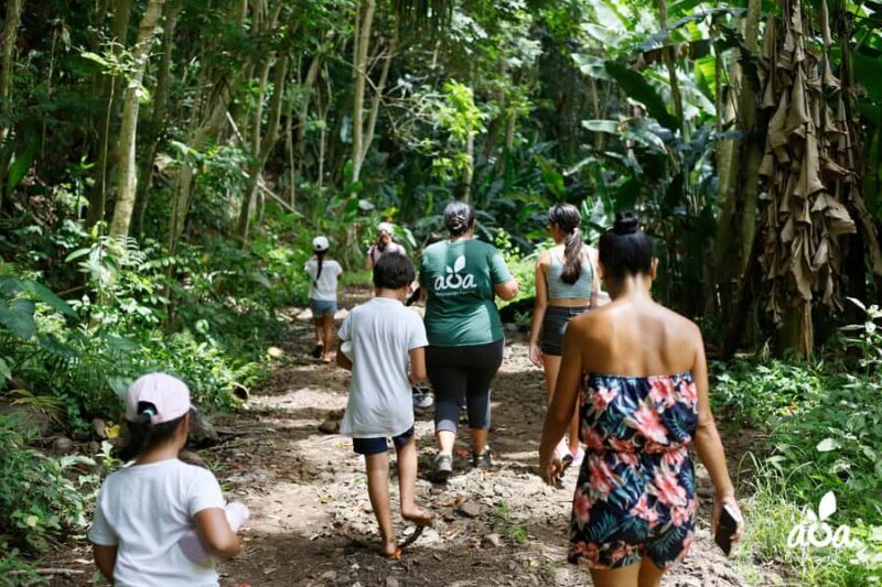 AOA Polynesian Forests - Educational Forest and Scavenger Hunt, Tahiti, West Coast - Is It Worth It?