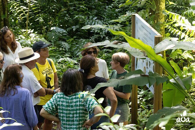 AOA Polynesian Forests - Educational Forest and Tahitian Trail Game DE - Is It Right for You?