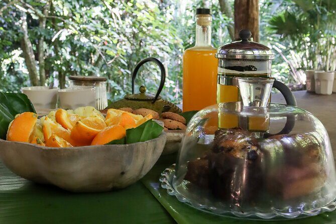 AOA Polynesian Forests - Tahiti Nature Immersion Day - What is the AOA Polynesian Forests Tour?