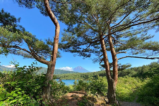 Aokigahara Nature Conservation Full-Day Hiking Tour - Tour Details and Inclusions