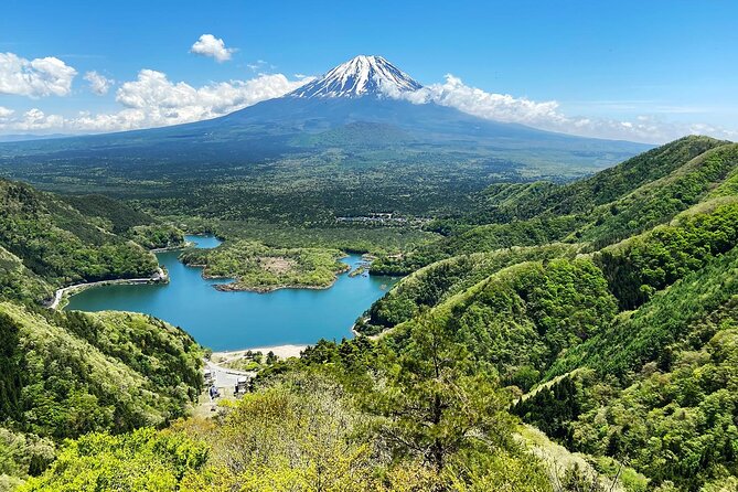 Aokigahara Nature Conservation Full-Day Hiking Tour - Meeting and Pickup Information