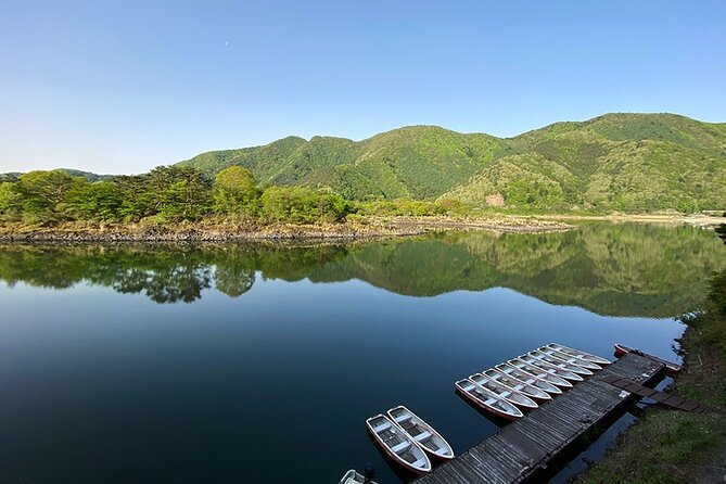 Aokigahara Nature Conservation Full-Day Hiking Tour - Reviews