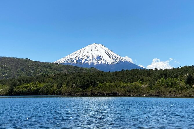 Aokigahara Nature Conservation Full-Day Hiking Tour - Summary of Whats Included