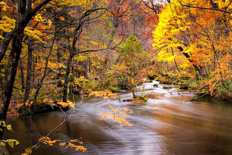 Aomori Day Trip: Oirase Gorge & Towada Lake - What makes this day trip worth considering
