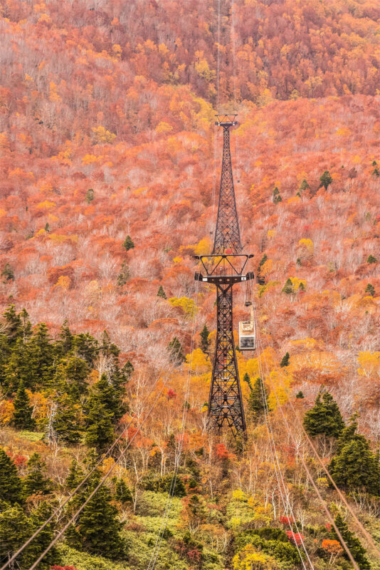 Aomori Day Trip: Oirase Gorge & Towada Lake - Oirase Gorge rewards a walk, not just a quick stop