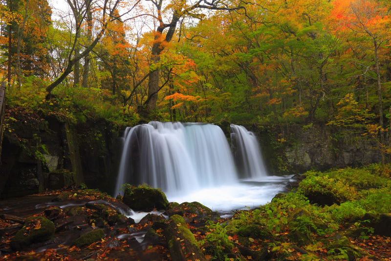 Aomori Day Trip: Oirase Gorge & Towada Lake - Hakkoda adds mountain air and weather