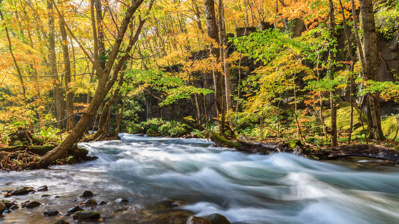 Aomori Day Trip: Oirase Gorge & Towada Lake - Small stops can be part of the fun