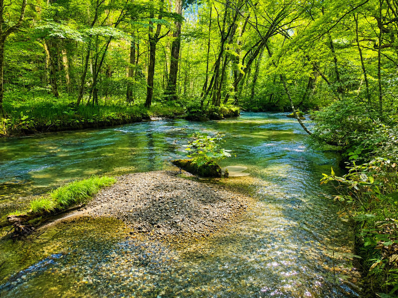 Aomori Day Trip: Oirase Gorge & Towada Lake - Weather, walking and group size deserve a little thought