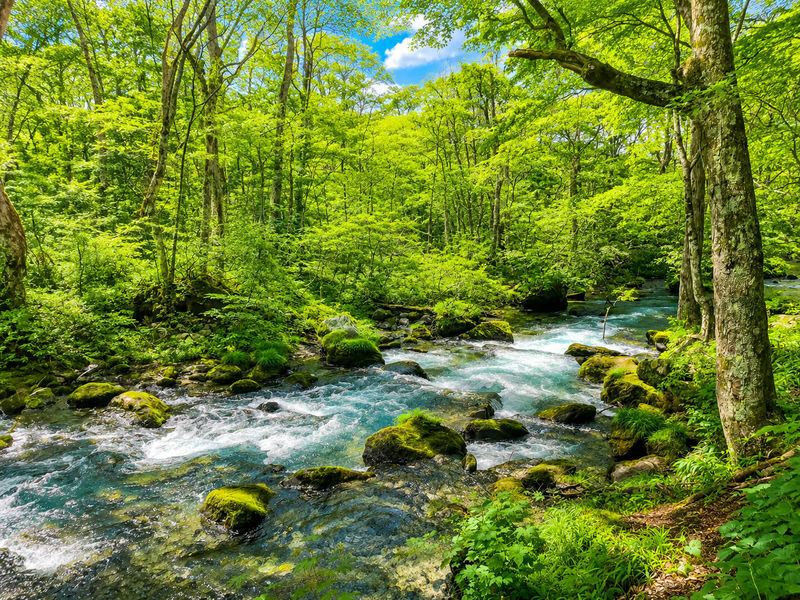 Aomori Day Trip: Oirase Gorge & Towada Lake - Should you book it?