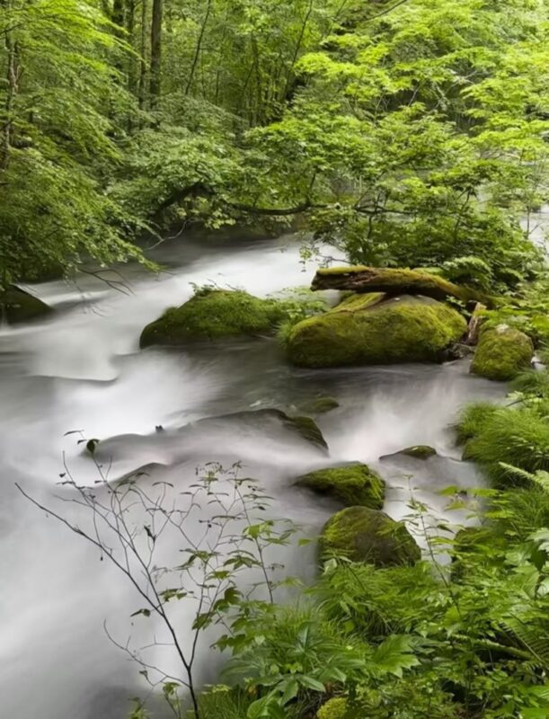 Aomori Hakkoda & Oirase Stream Private Full-Day Tour - What the price buys, and what it does not