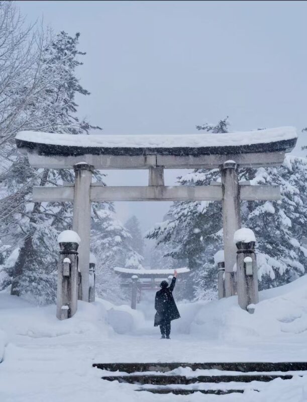 Aomori Hakkoda & Oirase Stream Private Full-Day Tour - Picking a season and preparing for the day