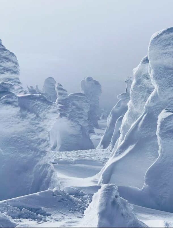 Aomori Hakkoda & Oirase Stream Private Full-Day Tour - Who should book this tour?