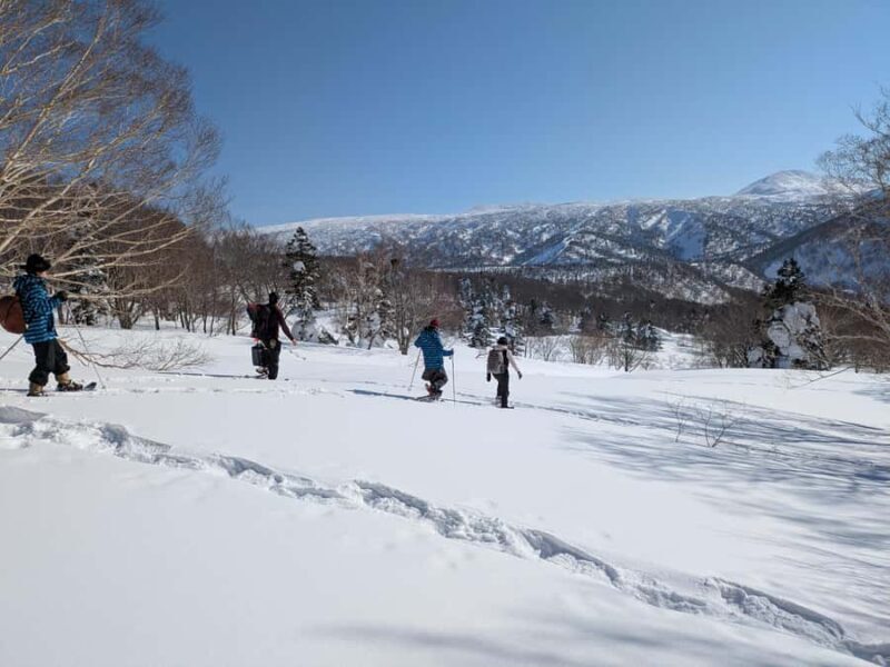 Aomori: Hakkoda Snowshoe Adventure with Guide - Exploring Hakkoda’s Winter Wonderland