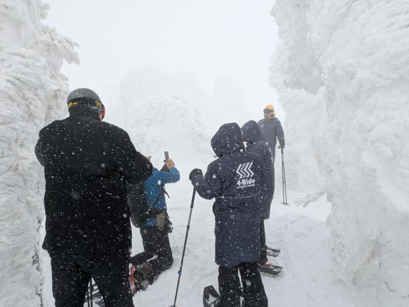 Aomori: Hakkoda Snowshoe Adventure with Guide - Summing Up: Who Is This Tour For?