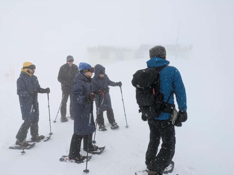 Aomori: Hakkoda Snowshoe Adventure with Guide - FAQ