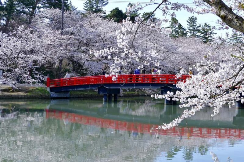 Aomori: Hirosaki Private Shore Excursion for cruise guest - Good To Know