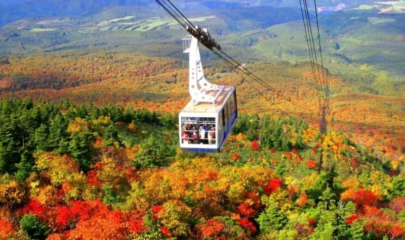 Aomori Oirase Stream & Lake Towada Small Group Tour - What to know before you go