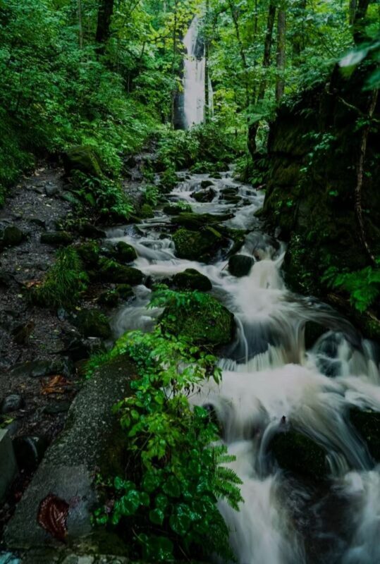 Aomori Oirase Stream & Lake Towada Small Group Tour - Oirase Stream gives the outing its close-up focus