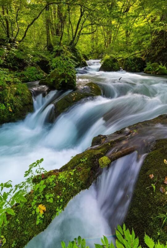 Aomori Oirase Stream & Lake Towada Small Group Tour - The pace suits a scenic day, not a strenuous trek