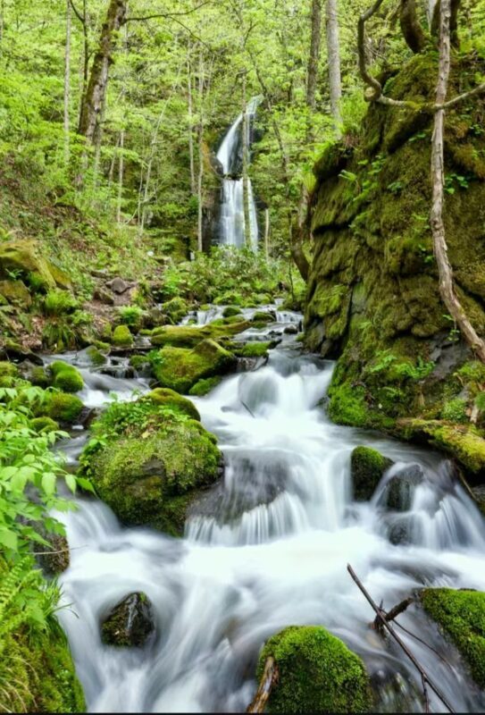 Aomori Oirase Stream & Lake Towada Small Group Tour - Is $145.85 good value?
