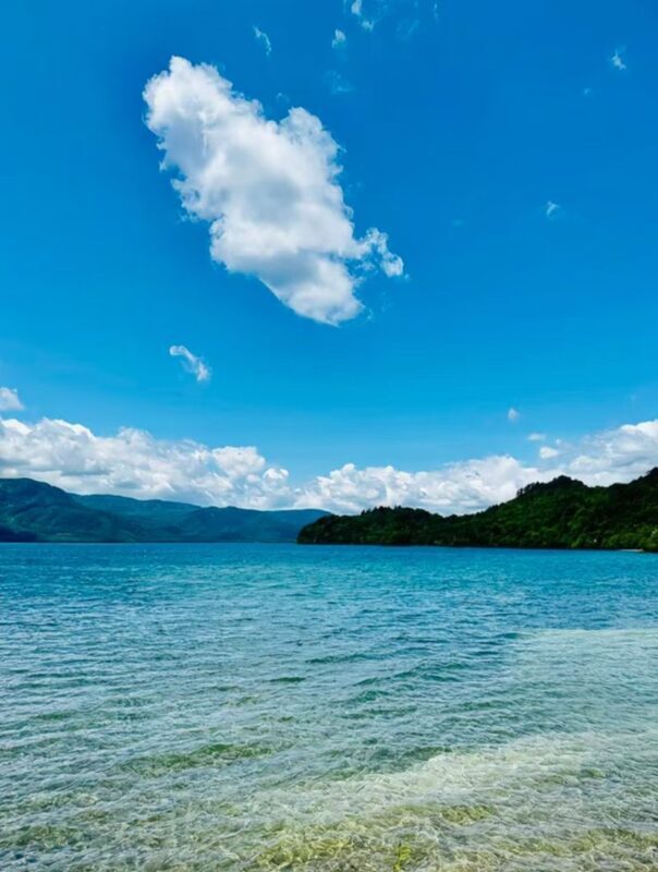 Aomori Oirase Stream & Lake Towada Small Group Tour - Weather and cancellation deserve a quick check