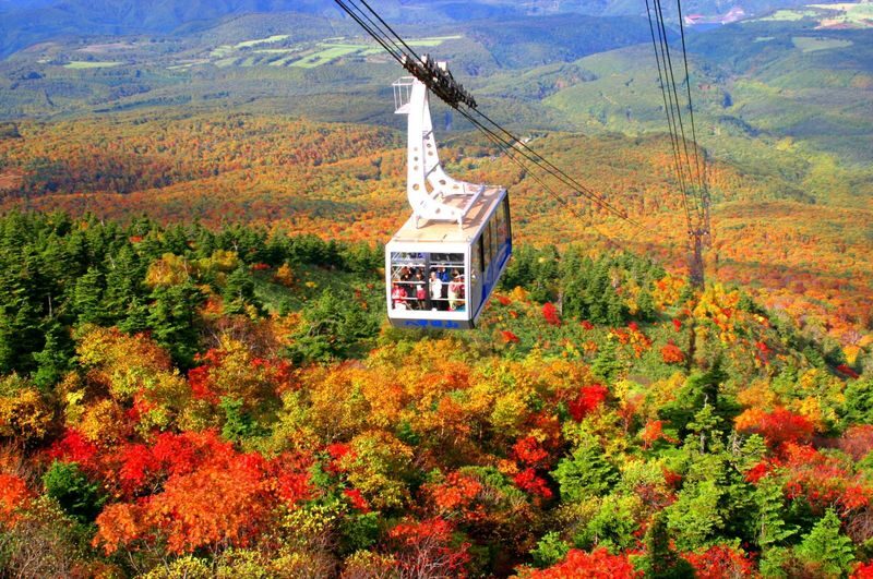 Aomori | Oirase Stream & Shirakami Mountains Private Chartered Day Tour | Customizable Itinerary - Oirase Stream rewards a flexible pace