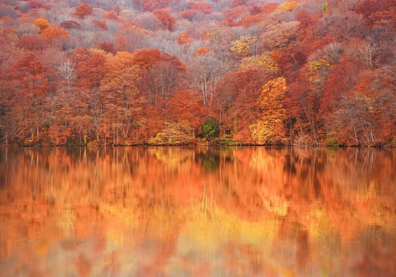 Aomori | Oirase Stream & Shirakami Mountains Private Chartered Day Tour | Customizable Itinerary - Hakkoda, Jogakura Bridge and Tsutanuma