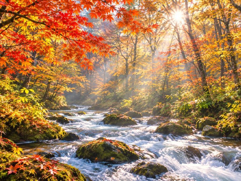 Aomori Small Group Day Tour | Oirase Stream, Hakkoda Mountains, Takayama Inari Shrine, Tanesashi Coast - At a glance