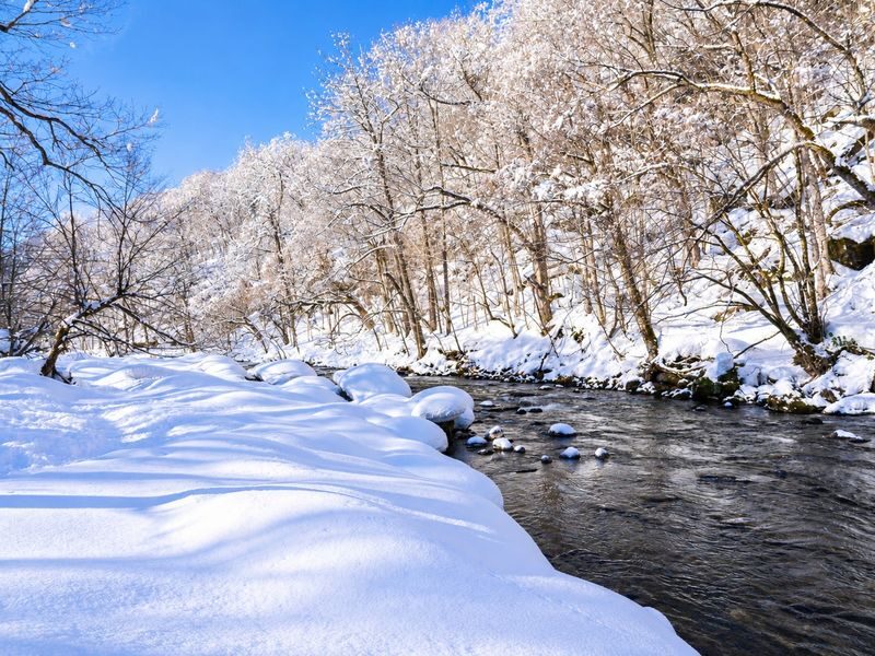 Aomori Small Group Day Tour | Oirase Stream, Hakkoda Mountains, Takayama Inari Shrine, Tanesashi Coast - Choose the Aomori that suits you