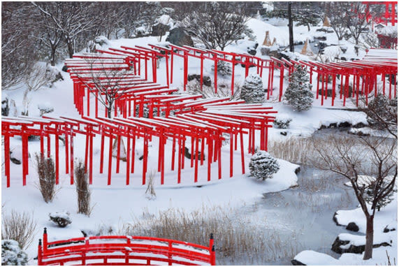 Aomori Small Group Day Tour | Oirase Stream, Hakkoda Mountains, Takayama Inari Shrine, Tanesashi Coast - What the small-group format really offers