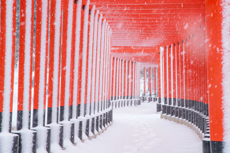 Aomori Small Group Day Tour | Oirase Stream, Hakkoda Mountains, Takayama Inari Shrine, Tanesashi Coast - Weather, seasons, and what to pack