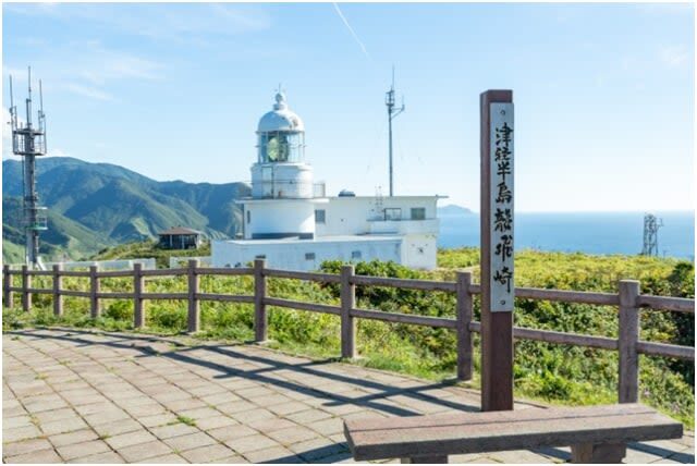 Aomori Small Group Day Tour | Oirase Stream, Hakkoda Mountains, Takayama Inari Shrine, Tanesashi Coast - Who should book this Aomori day out?