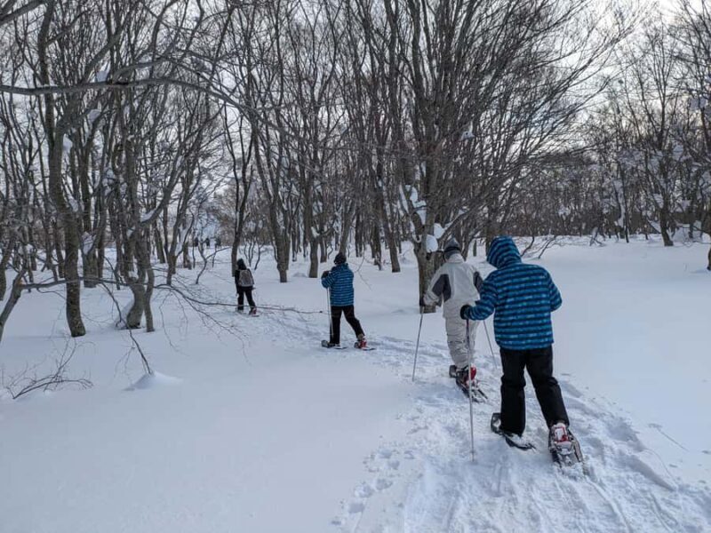 AOMORI: Snowshoe Adventure & Winter Bites at Sukayu - Good To Know