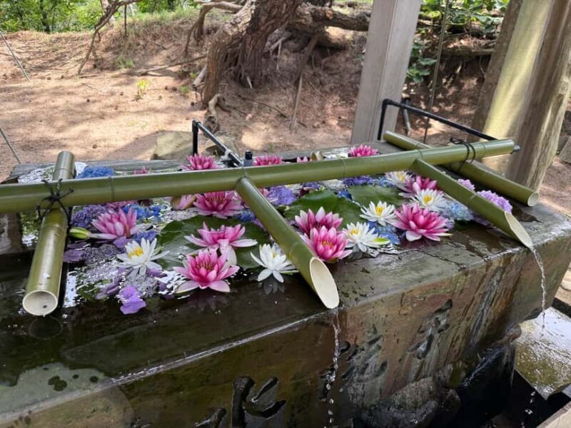 Aomori: Takayama Inari Shrine and Jomon Museum Tour - Exploring the Highlights of the Aomori Tour