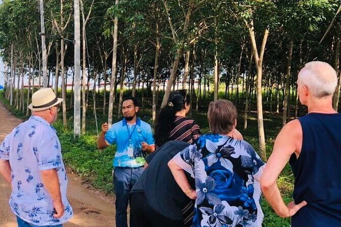 Aonang Cultural Exploration on Temple, Market and Thai Visit - Exploring Local Life: Thai Homes, Farms, and Rubber