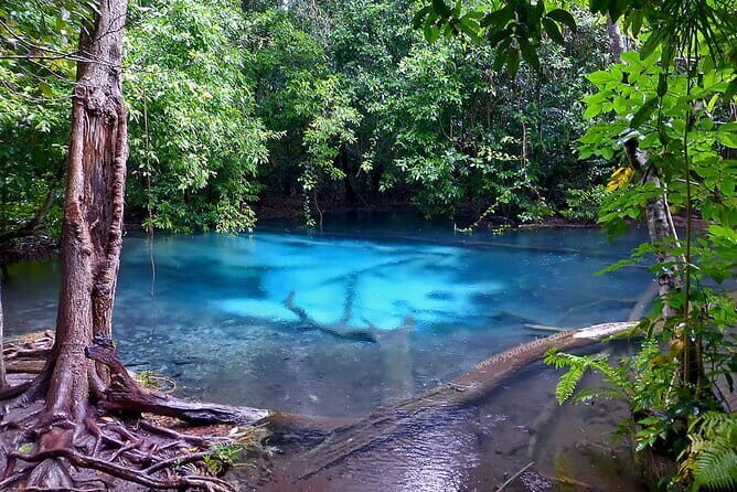 Aonang Cultural Exploration on Temple, Market and Thai Visit - The Experience’s Value: Is It Worth It?