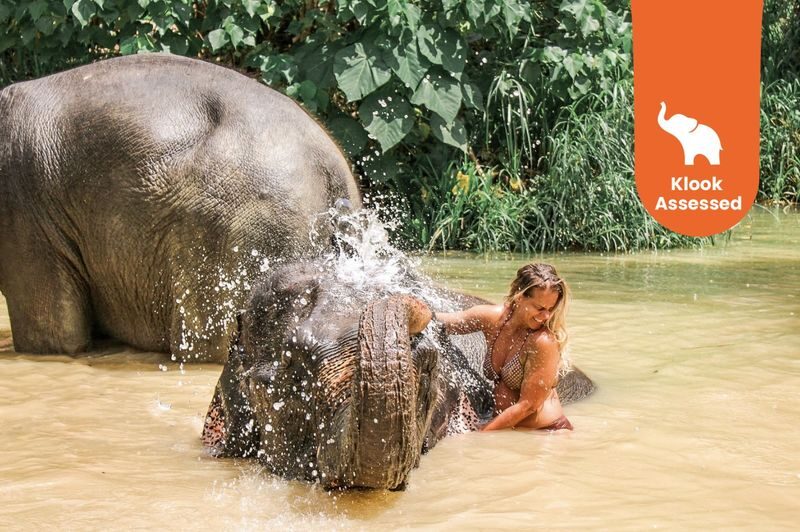 Aonang Elephant Sanctuary Experience - What to know before you book
