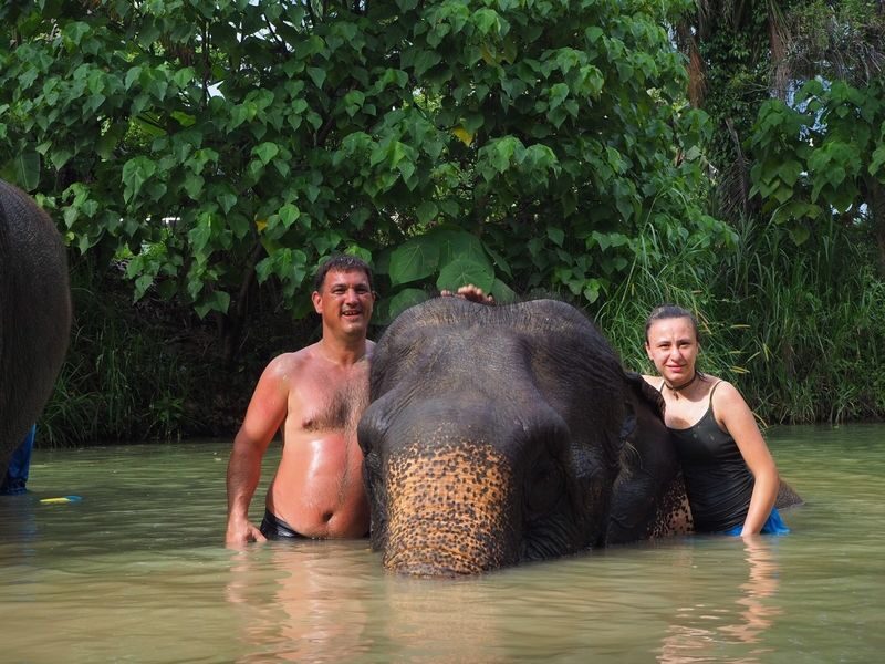 Aonang Elephant Sanctuary Experience - Close-up care, with clear boundaries